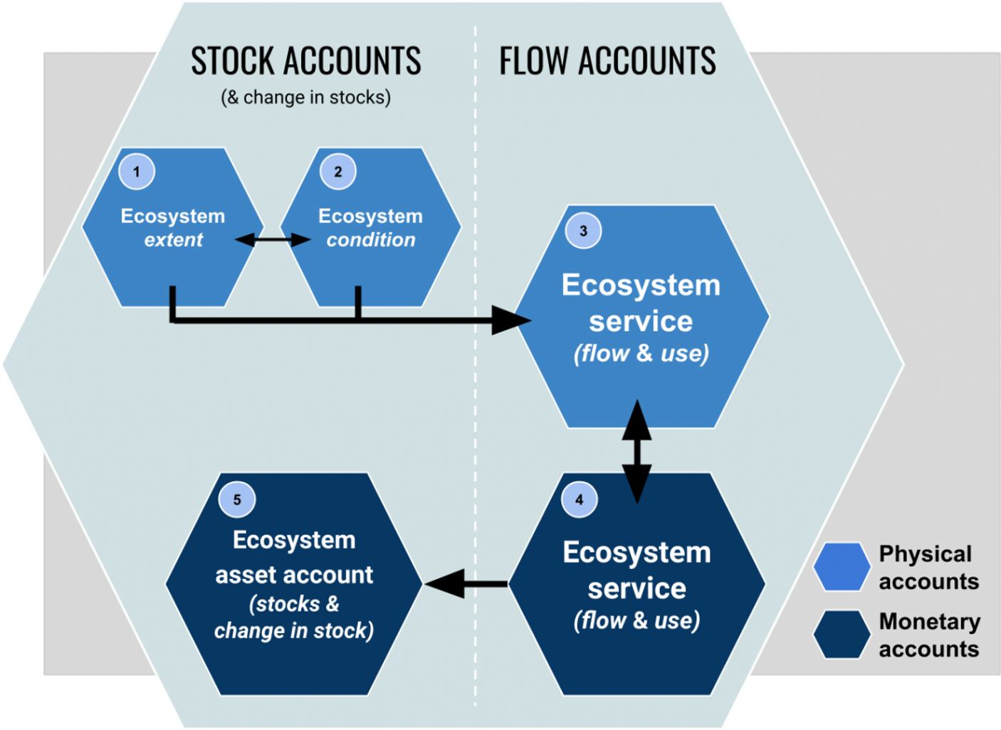 Components of ecosystem accounting.