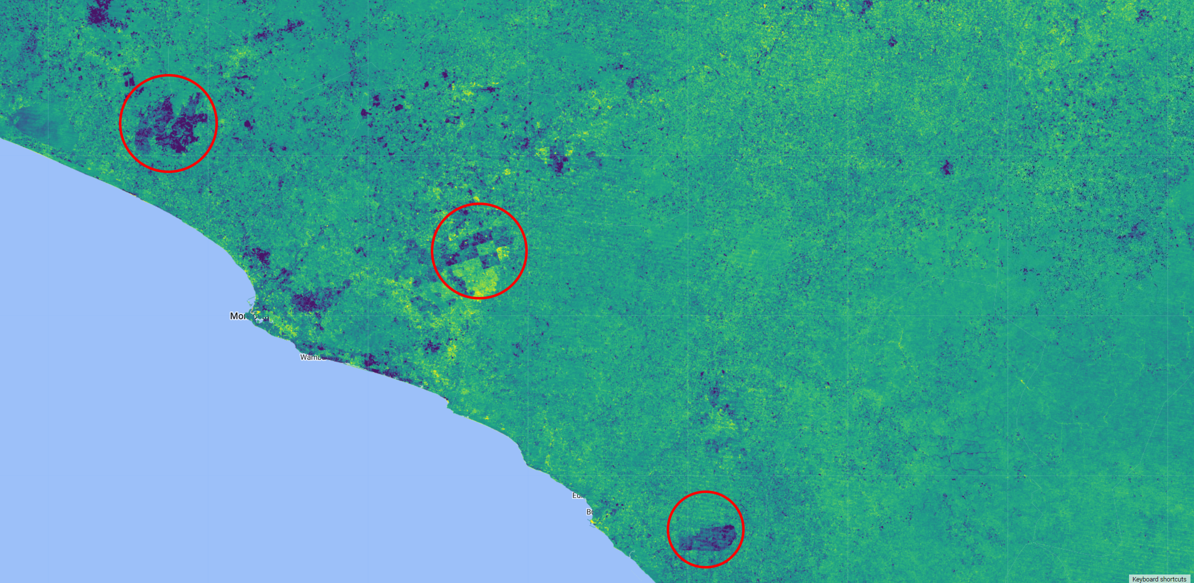 Normalized Burn Ratio (NBR) index anomaly over Liberia. Areas of negative anomaly are shown in purple/dark blue.