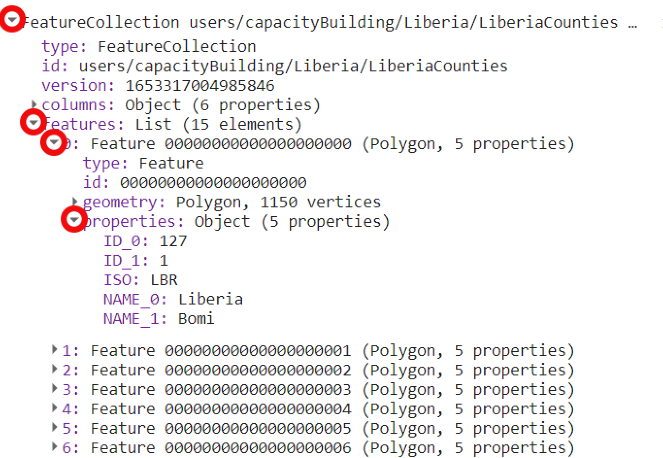 Feature collection information printed to the console. This imported dataset includes multiple features.